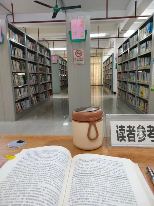 這屆95后的求職盡頭 當(dāng)圖書管理員