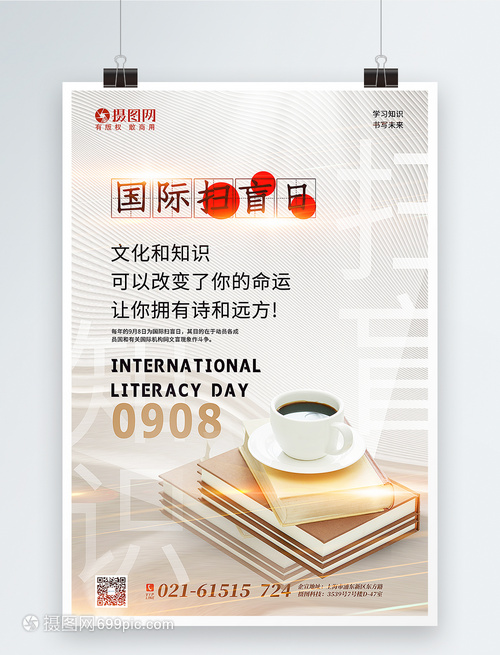 紋理質(zhì)感國際掃盲日宣傳海報