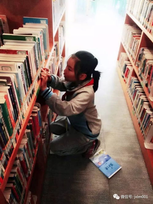 做一個快樂的讀書人,我是小小圖書管理員 記杭州市建新小學(xué)三1中隊七色花小隊活動