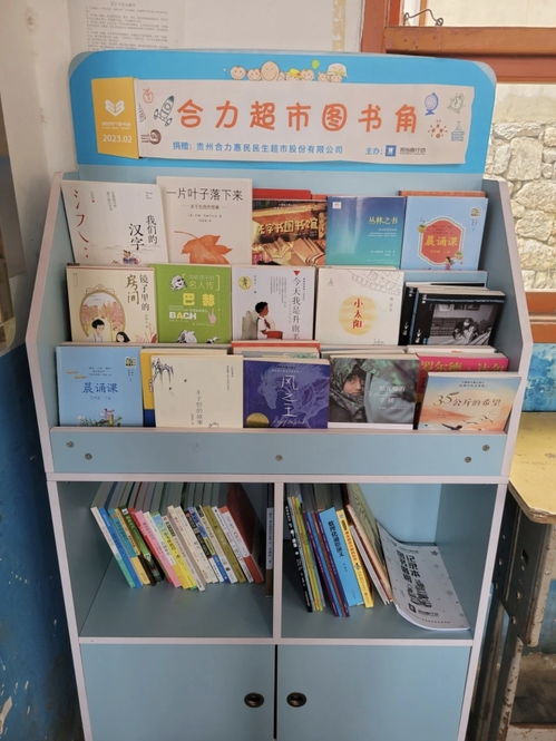 合力 班班有個圖書角 走進(jìn)大方縣背座小學(xué)