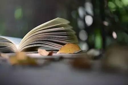 眉山各大圖書館正有序恢復(fù)開放，借閱書籍還能領(lǐng)福利!