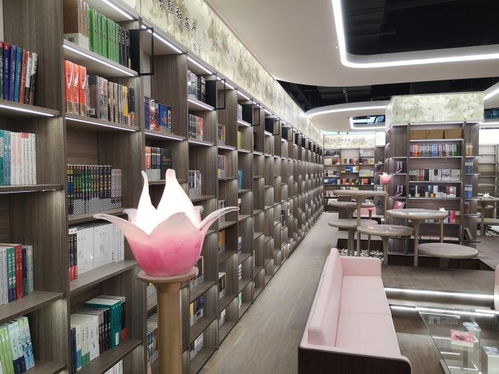 大變化 10月1日,保定市新華書店圖書大廈重裝開業(yè)